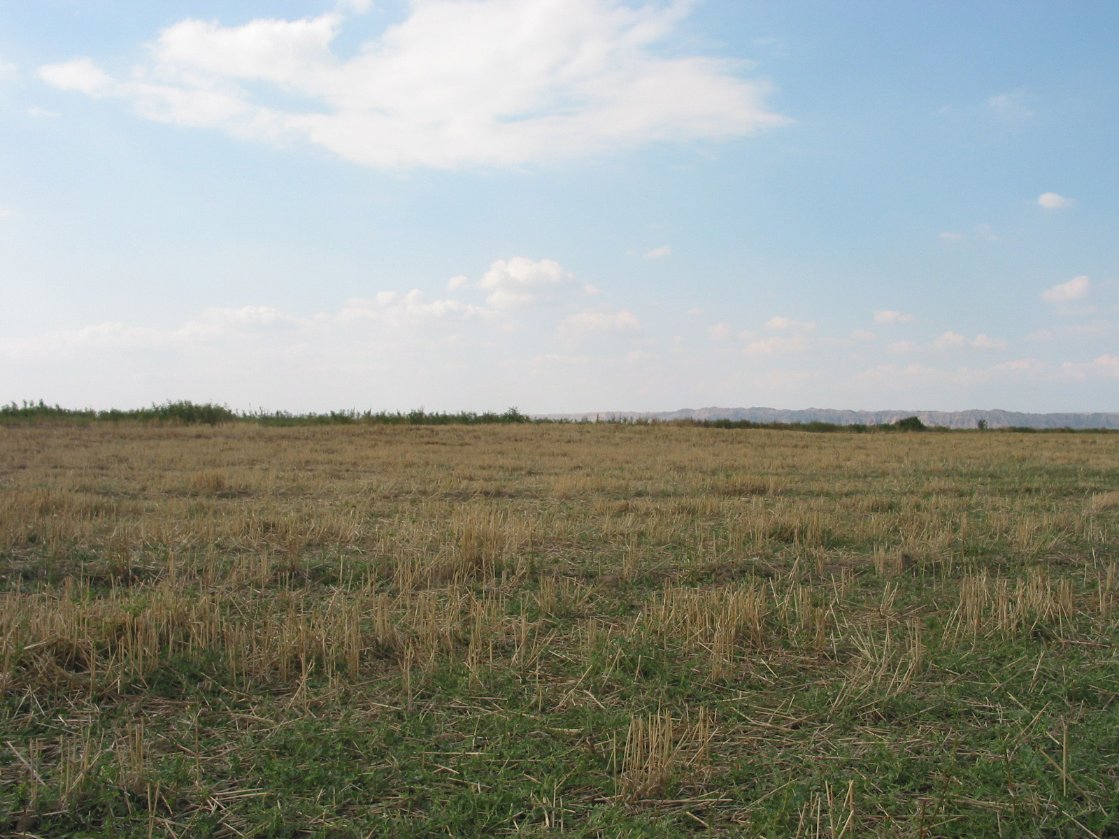 Ideal Tepe vor Grabungsbeginn von Osten, 2006