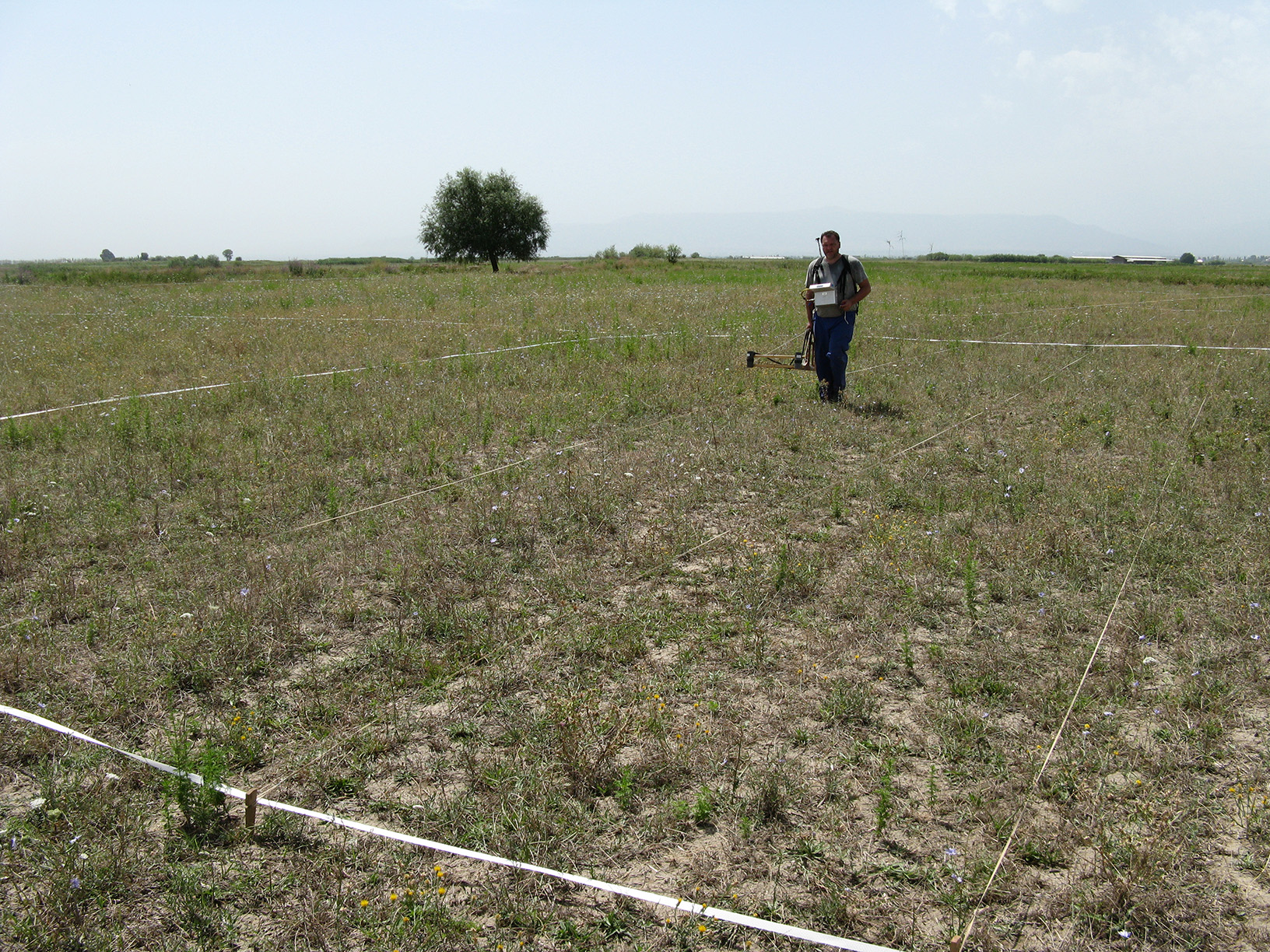 Wolfgang Rösler bei Iki Sütün, 2008