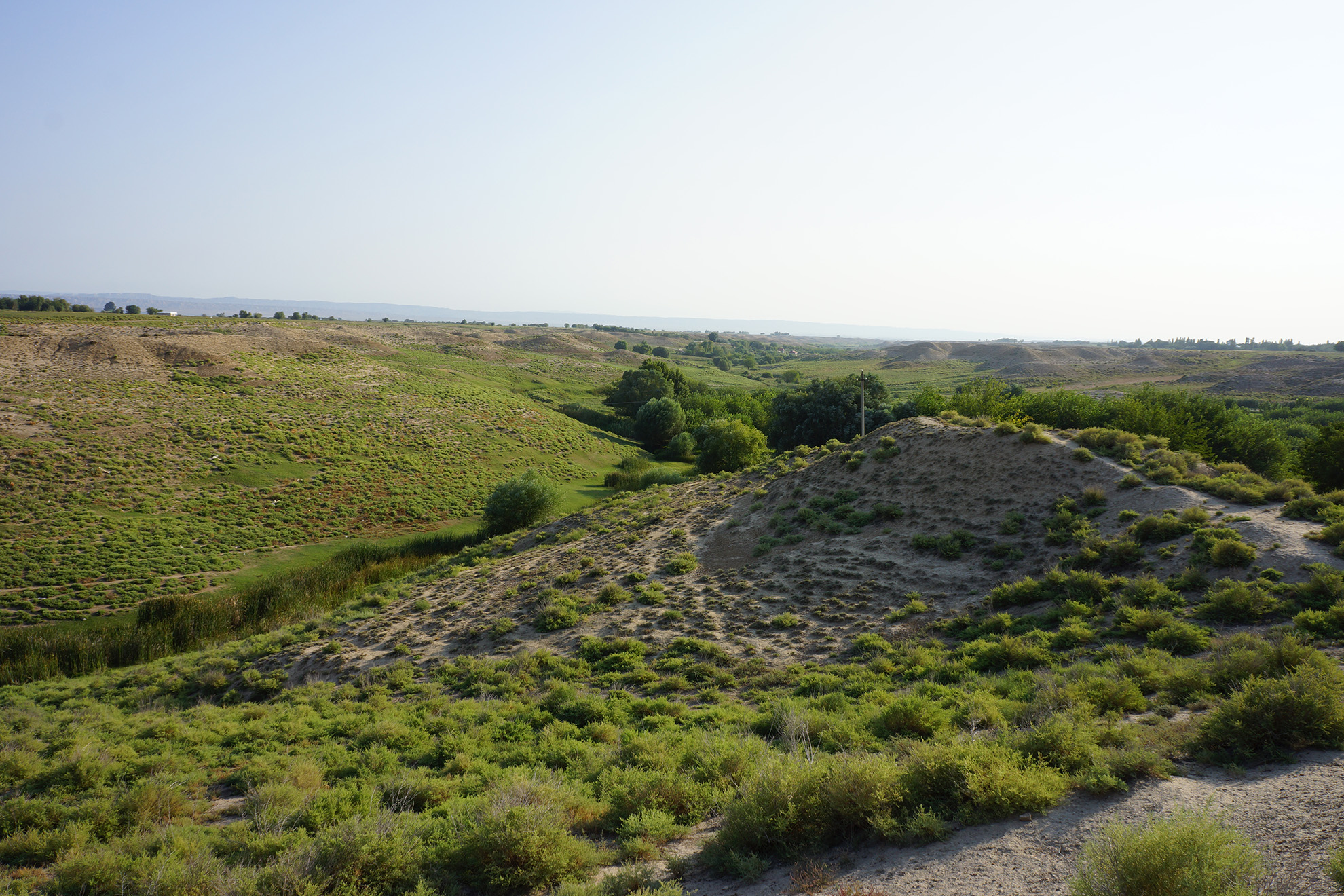 Ansicht von Südwesten auf den Elschan Tepe, im Hintergrund Talysch, 2013