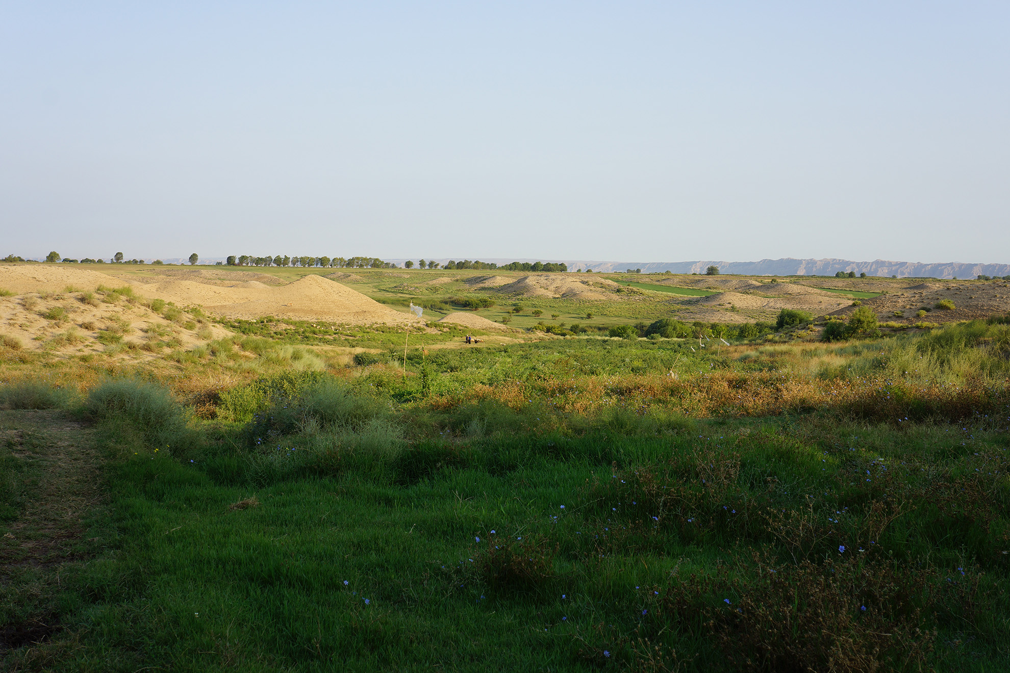 Maja Yatax, Ansicht von Südosten, 2013