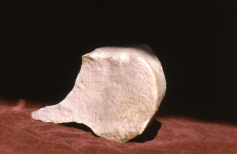 Torusfragment, Lesefund vom Rizvan Tepe, 2001 (Foto: F. Knauß)