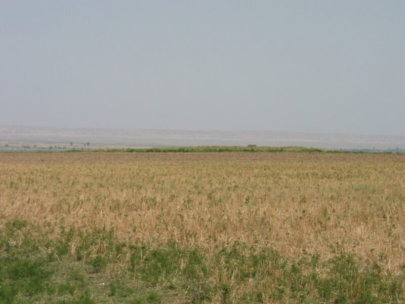 Ansicht des Ilyas Tepe vom Ideal Tepe (Südwesten), 2006 (Foto: G. Mehnert)