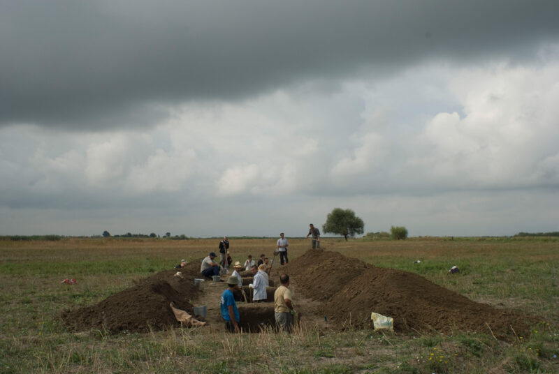 Grabungssituation, 2010 (Foto: T. Stingl)